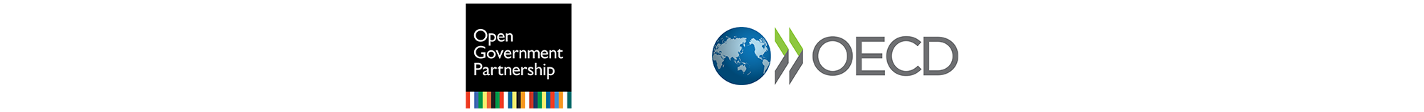 Anti-Corruption and Open Government thematic partners