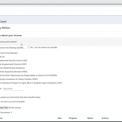 screenshot of ability to pay questionnaire